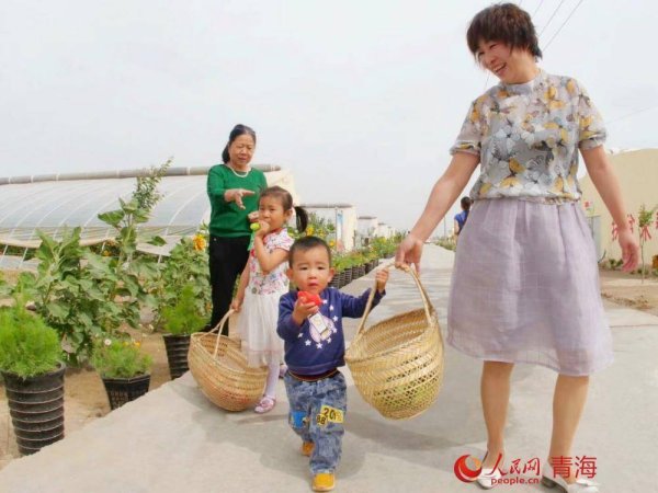瑞银网配资 从“风吹石头跑”到戈壁田园
