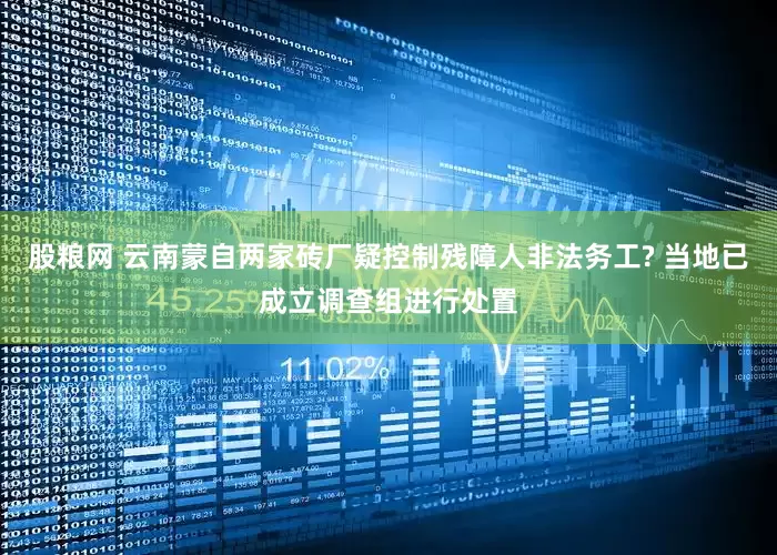 股粮网 云南蒙自两家砖厂疑控制残障人非法务工? 当地已成立调查组进行处置